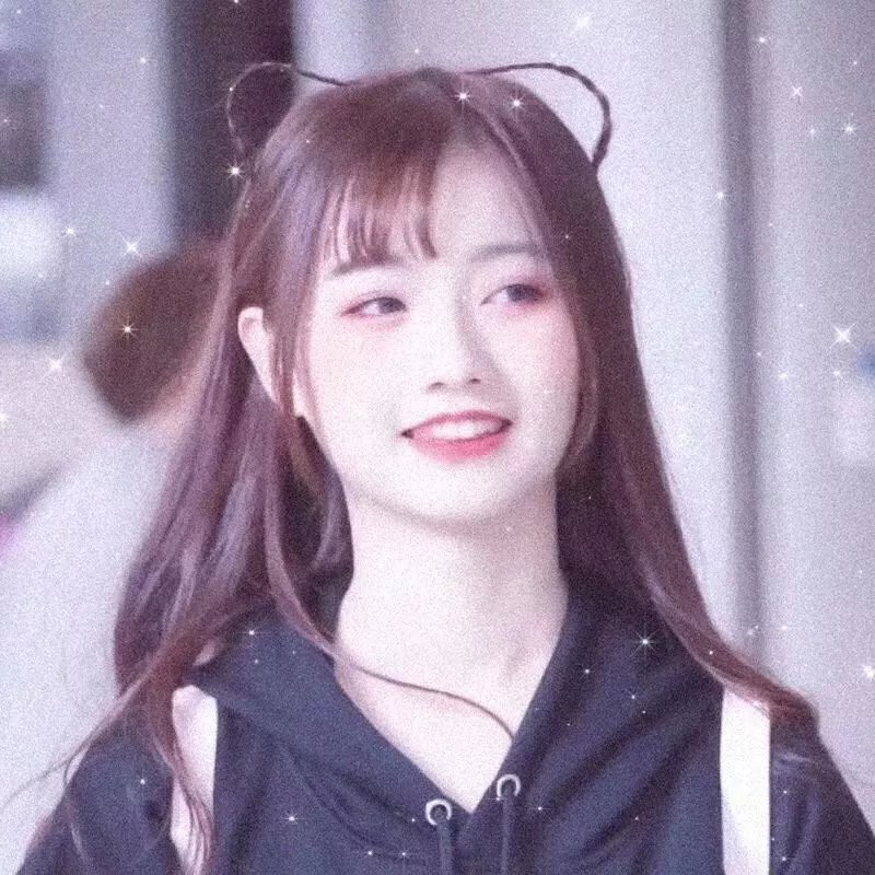 狗的生涯